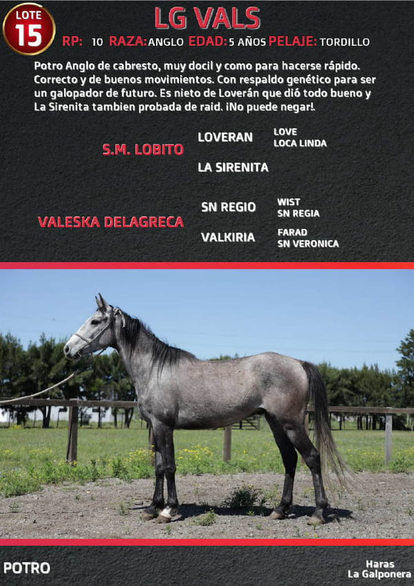Lote LG VALS