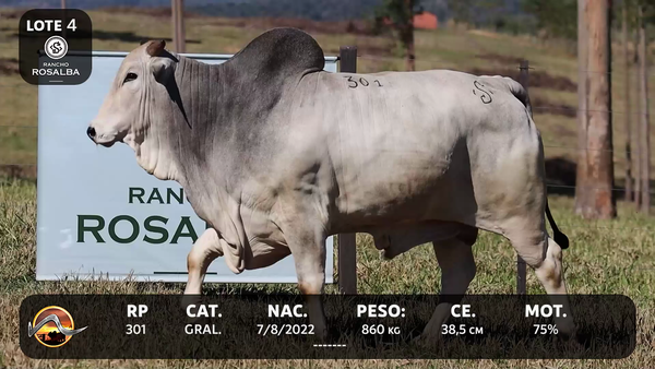 Lote LOTE 4