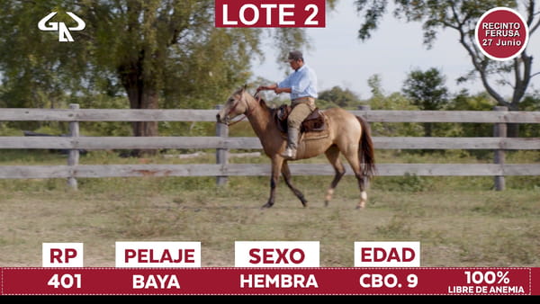 Lote Reproductores de Alborada - Lote 02