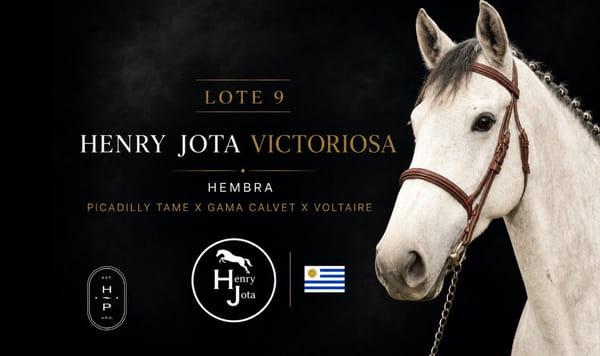 Lote HENRY JOTA VICTORIOSA