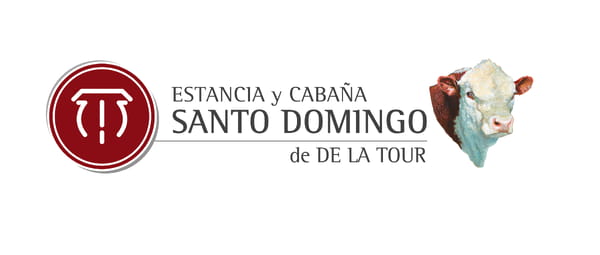 Lote Vaquillonas PR (preñadas)