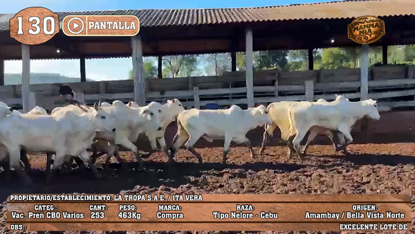 Lote LOTE 130 - PANTALLA