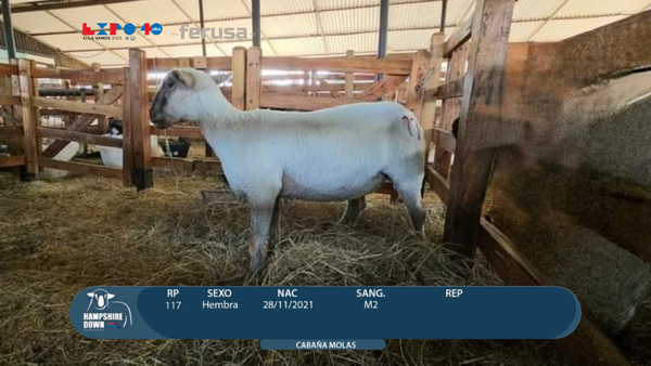 Lote LOTE 79 - CAMPO