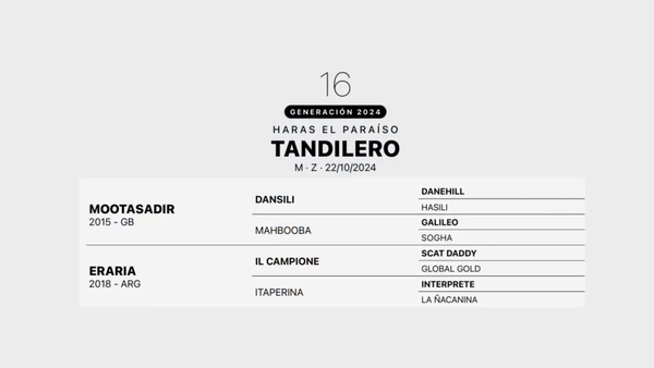 Lote TANDILERO
