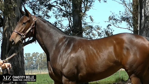 Lote CHASTITY BELLE (WINNIG PRIZE - CHRISTINE KEELER)