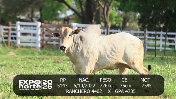Lote PUERTO ALEGRE