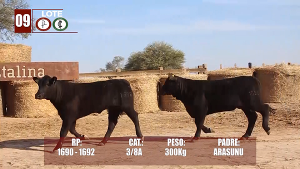 Lote Lote 9 Reserva de Cabaña