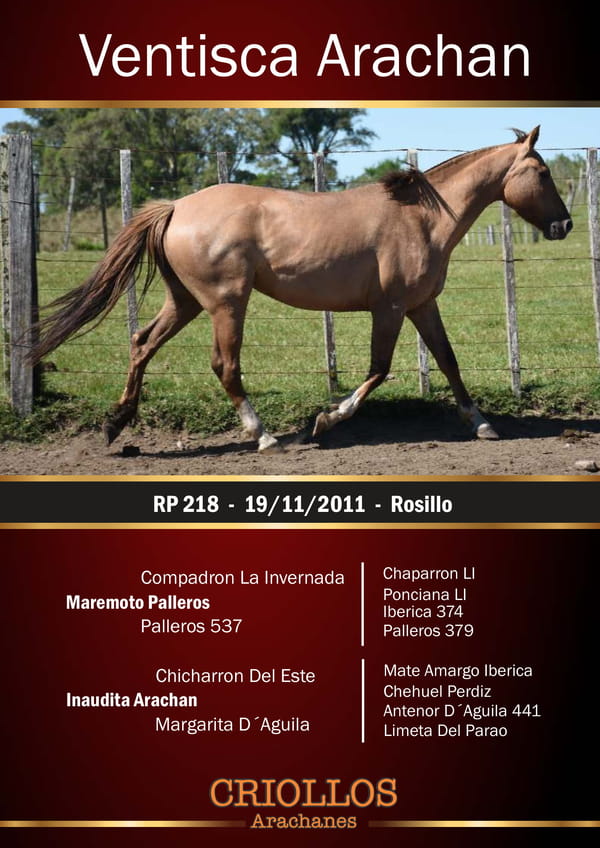 Lote Ventisca Arachán - RP 218