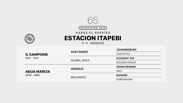 Lote ESTACION ITAPEVI