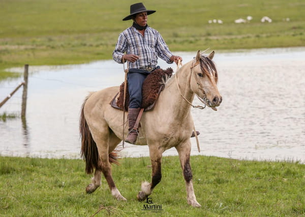 Lote Chapeco Caraguatá