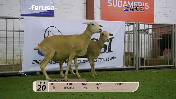 Lote Nacional Santa Inés Campo - Lote 20
