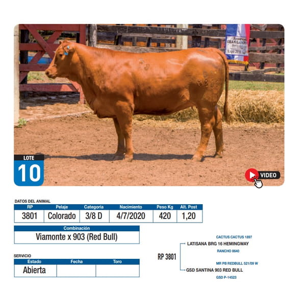 Lote Viamonte x 903 (Red Bull)
