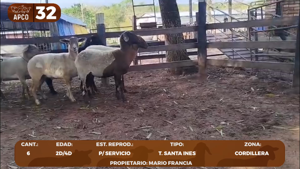 Lote LOTE 32 -POR PANTALLA
