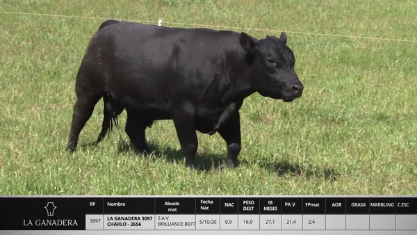 Lote LA GANADERA 3097 CHARLO - 2656