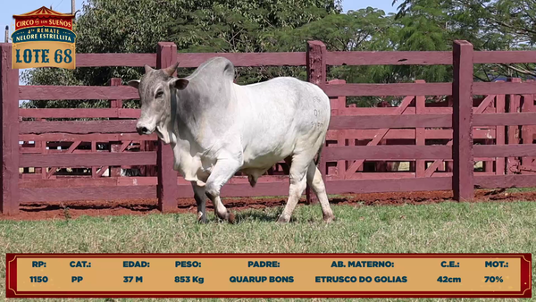 Lote LOTE 68
