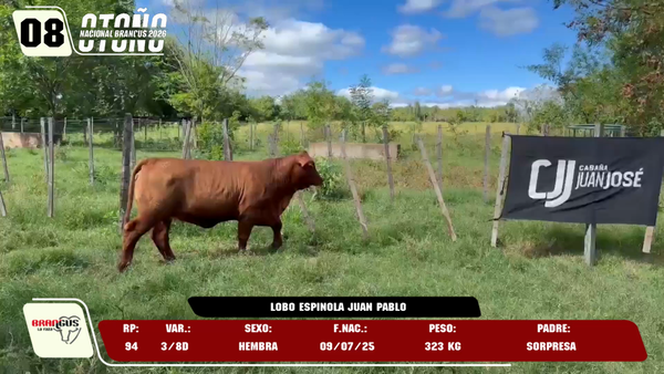 Lote LOTE 8 -DE JUNIOR