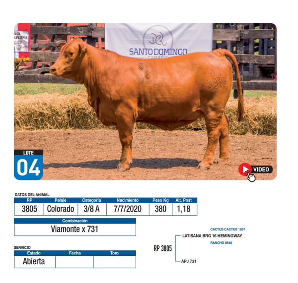 Lote Viamonte x 731