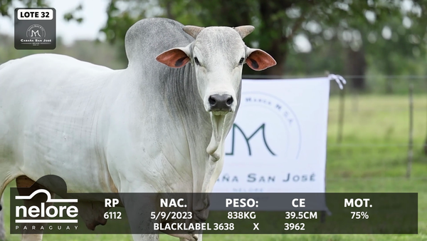 Lote LOTE 32