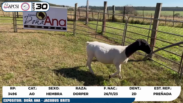 Lote LOTE 30