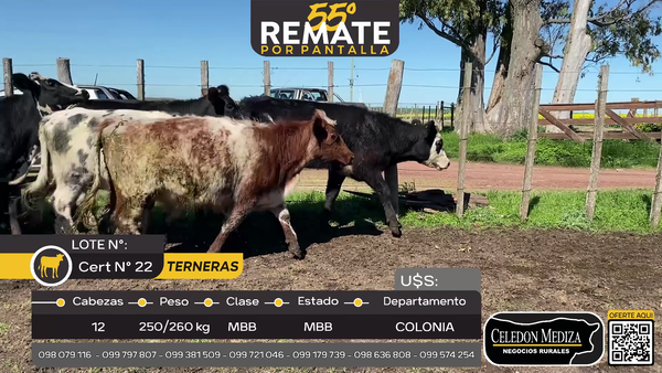 Lote 12 Terneras A 9 Km de Palo Solo , Colonia