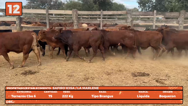 Lote LOTE 12