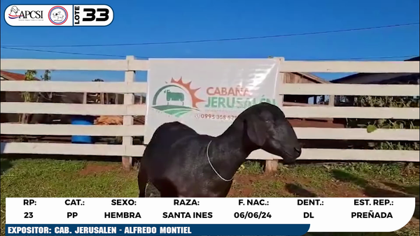 Lote LOTE 33