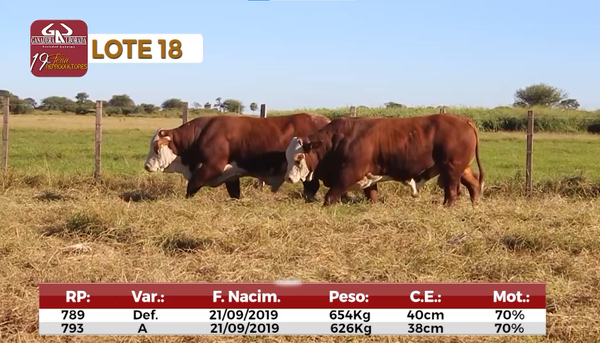 Lote Reproductores de Alborada - Lote 18