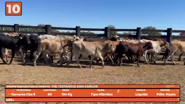 Lote LOTE 10