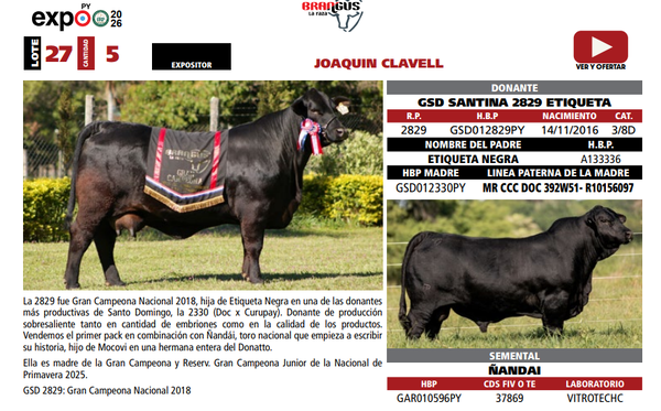 Lote LOTE 27