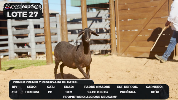 Lote LOTE 27 - CAMPO