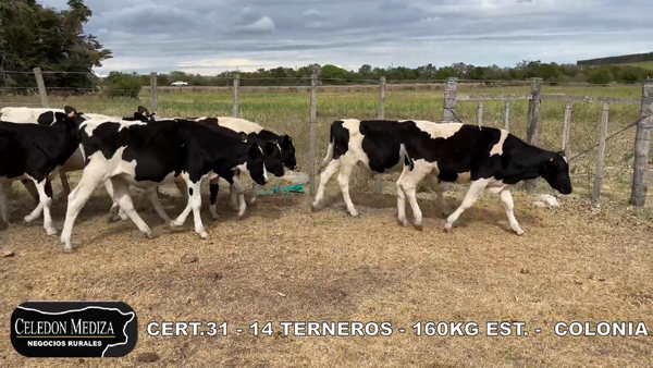 Lote 14 Terneros en Los Cerros de San Juan, Colonia