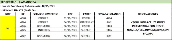 Lote Lote 65 La amanecida