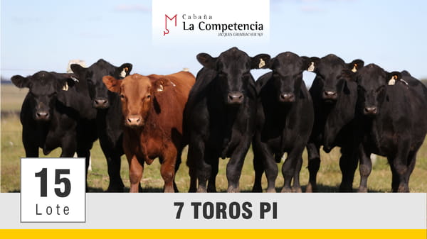 Lote (Vendido)Toros, Montevideo