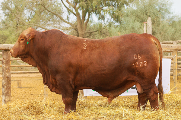 Lote LOTE 72