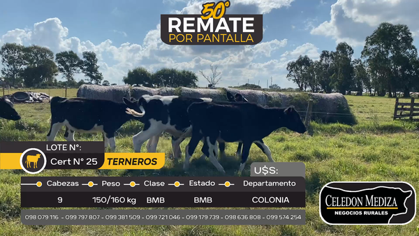 Lote 9 Terneros en Tarariras, Colonia
