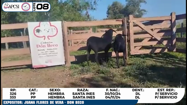 Lote LOTE 8