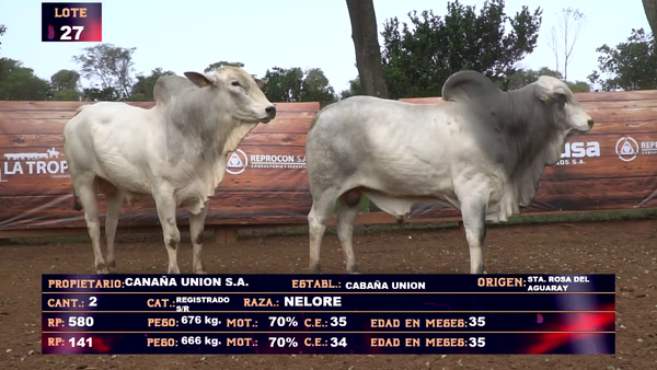 Lote CABAÑA UNION SA - LOTE 27