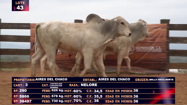 Lote AIRES DEL CHACO SA- LOTE 43