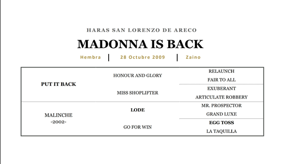 Lote MADONNA IS BACK (PUT IT BACK - MALINCHE)