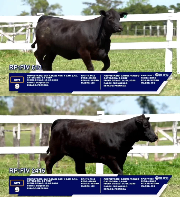 Lote LOTE 9 - DUO
