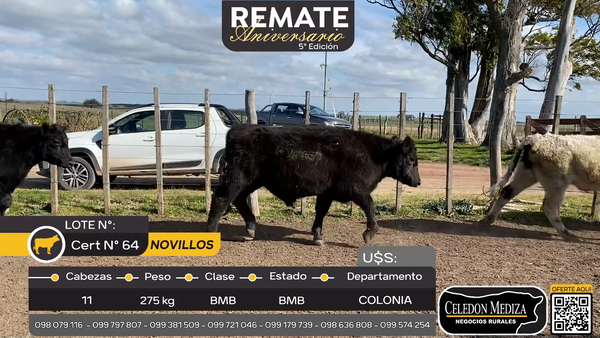 Lote 11 Novillos A 10 km de Palo Solo , Colonia