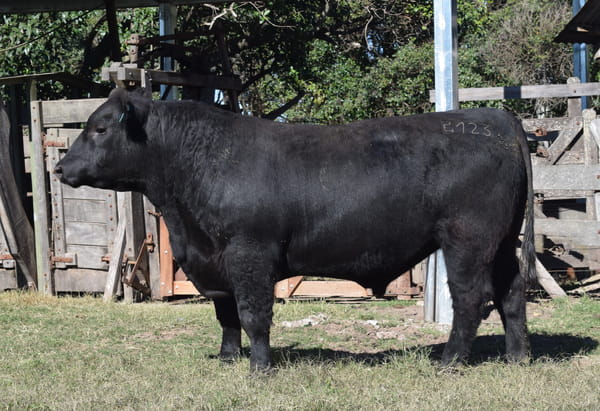 Lote CABAÑA “COEMBOTÁ” de Calderón RP 123