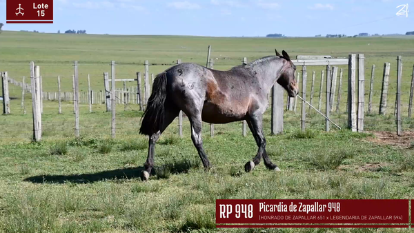 Lote PICARDIA DE ZAPALLAR 948