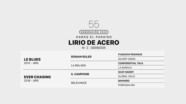 Lote LIRIO DE ACERO