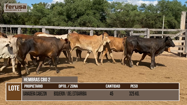 Lote ESTANCIA CABEZON  - LOTE 9