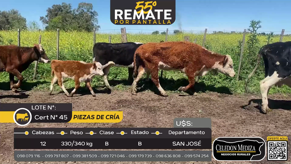 Lote 12 Piezas de cría  en Camino José Ignacio a 7 km de San José , San José