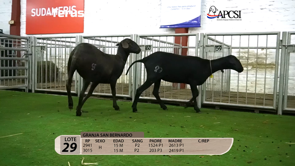 Lote Nacional Santa Inés Campo - Lote 29