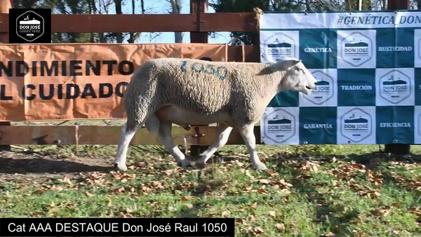 Lote CAT. AAA - LOTE 2