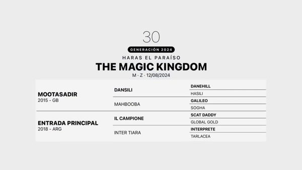 Lote THE MAGIC KINGDOM