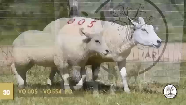 Lote 2 Borregas, Canelones